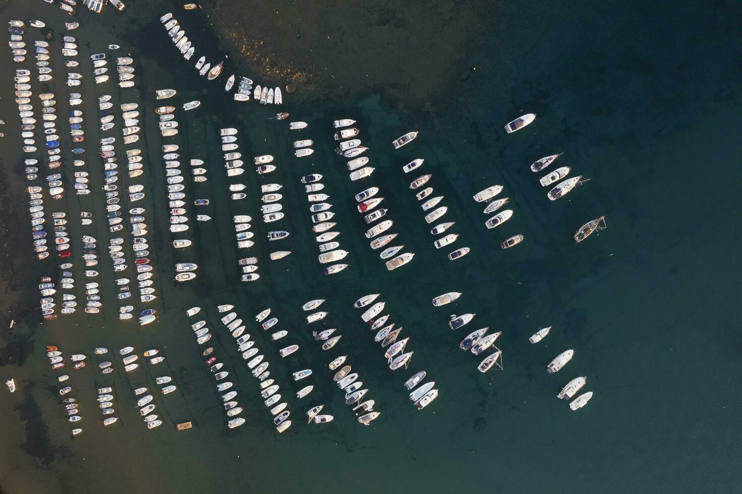 Aerial view of the small port of Baratti at the first light of dawn photo
