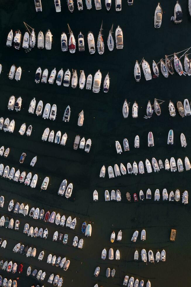 Aerial view of the small port of Baratti at the first light of dawn photo