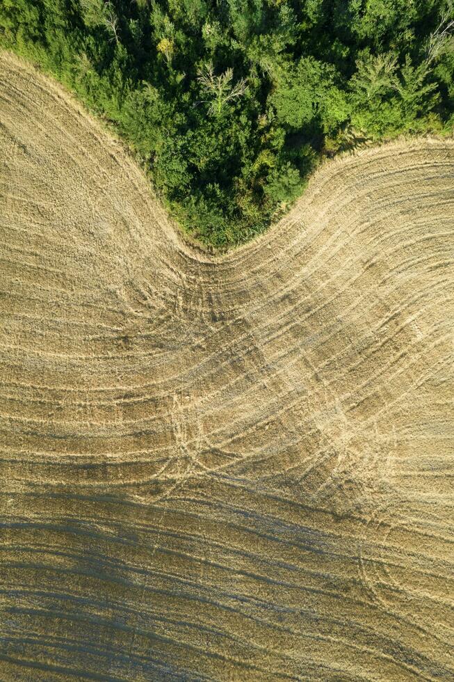 Aerial view of the shape of the fields Tuscany Italy photo