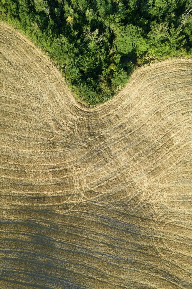 aéreo ver de el forma de el campos toscana Italia foto