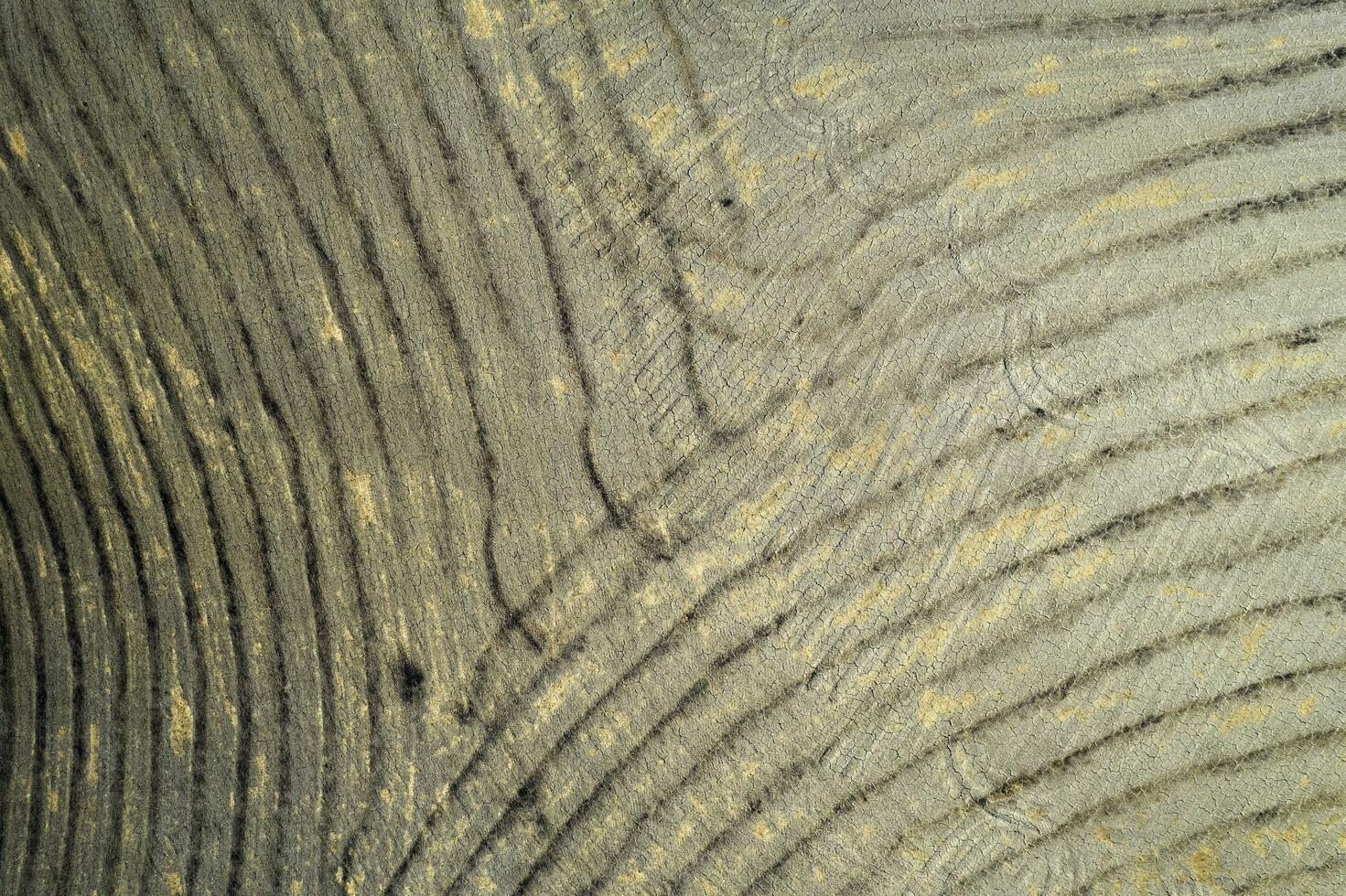 Aerial view of the signs of drought in the fields of Tuscany Italy photo