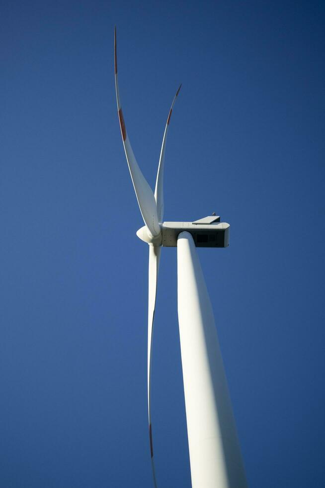 renovable energía mediante viento turbinas foto