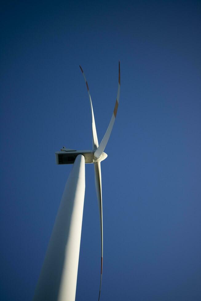 Renewable energy through wind turbines photo