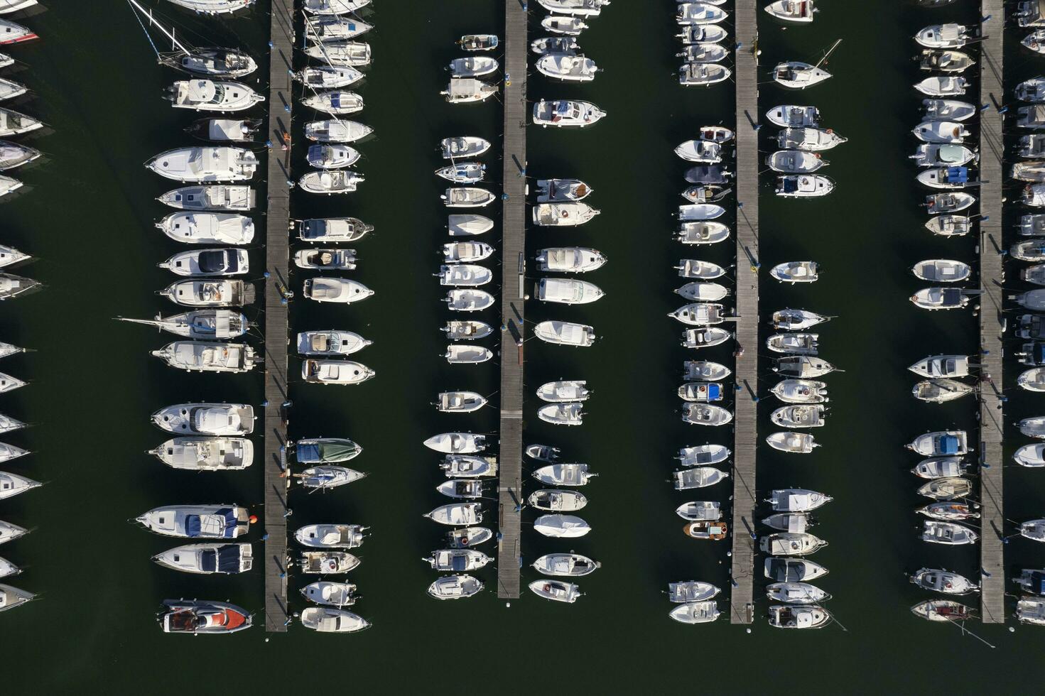 Aerial view of boats moored in the tourist port of Viareggio Italy photo