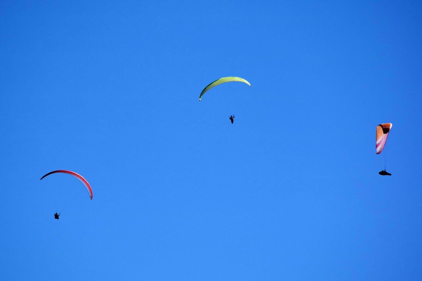 Photo shoot of the flight of a paragliding group