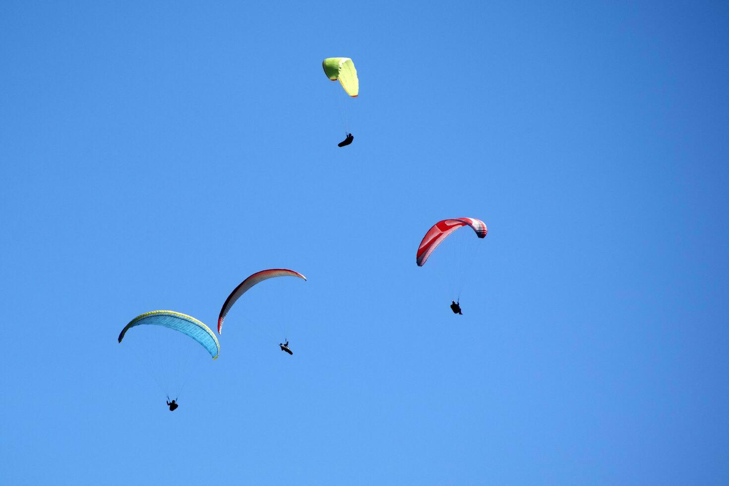 Photo shoot of the flight of a paragliding group