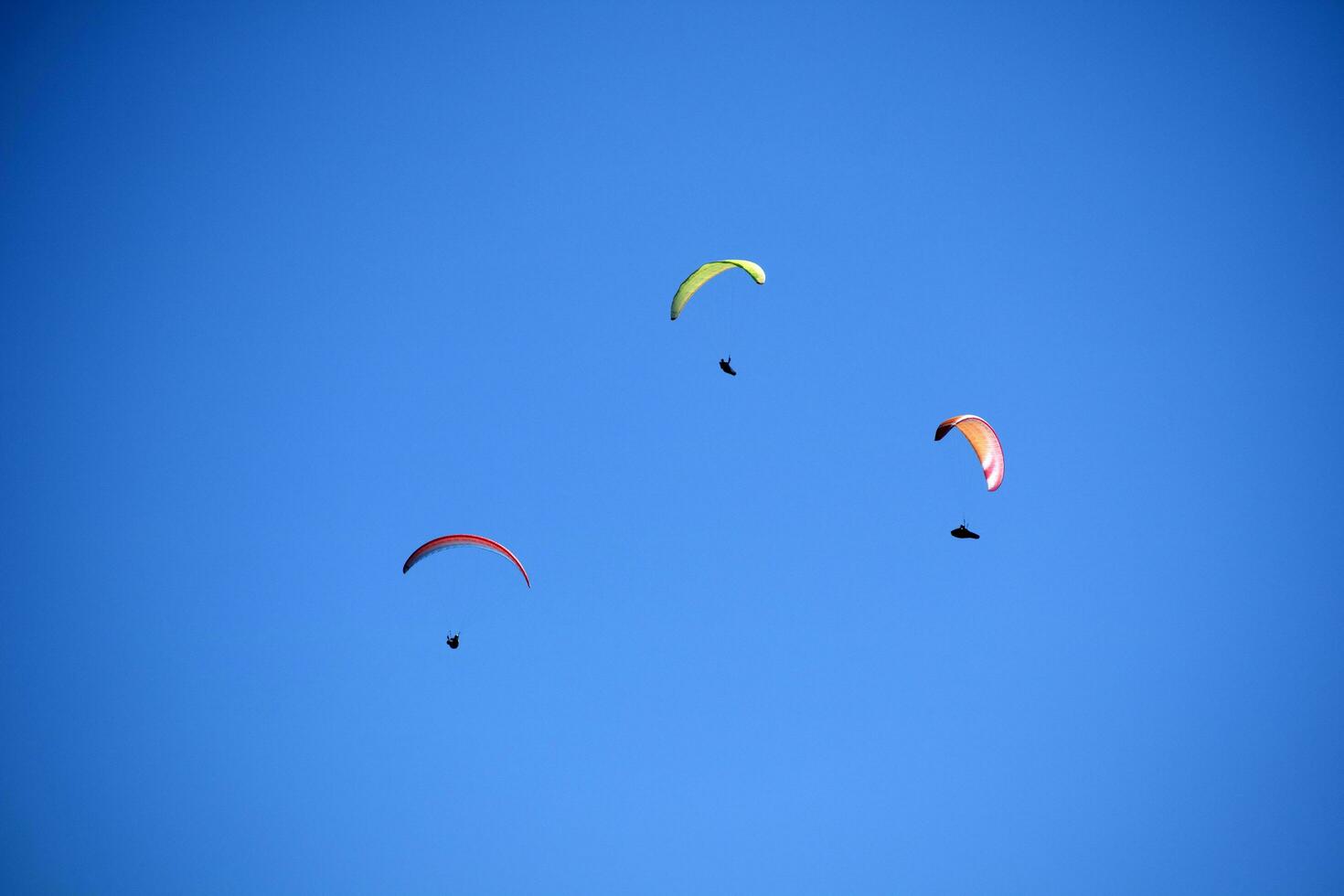 Photo shoot of the flight of a paragliding group