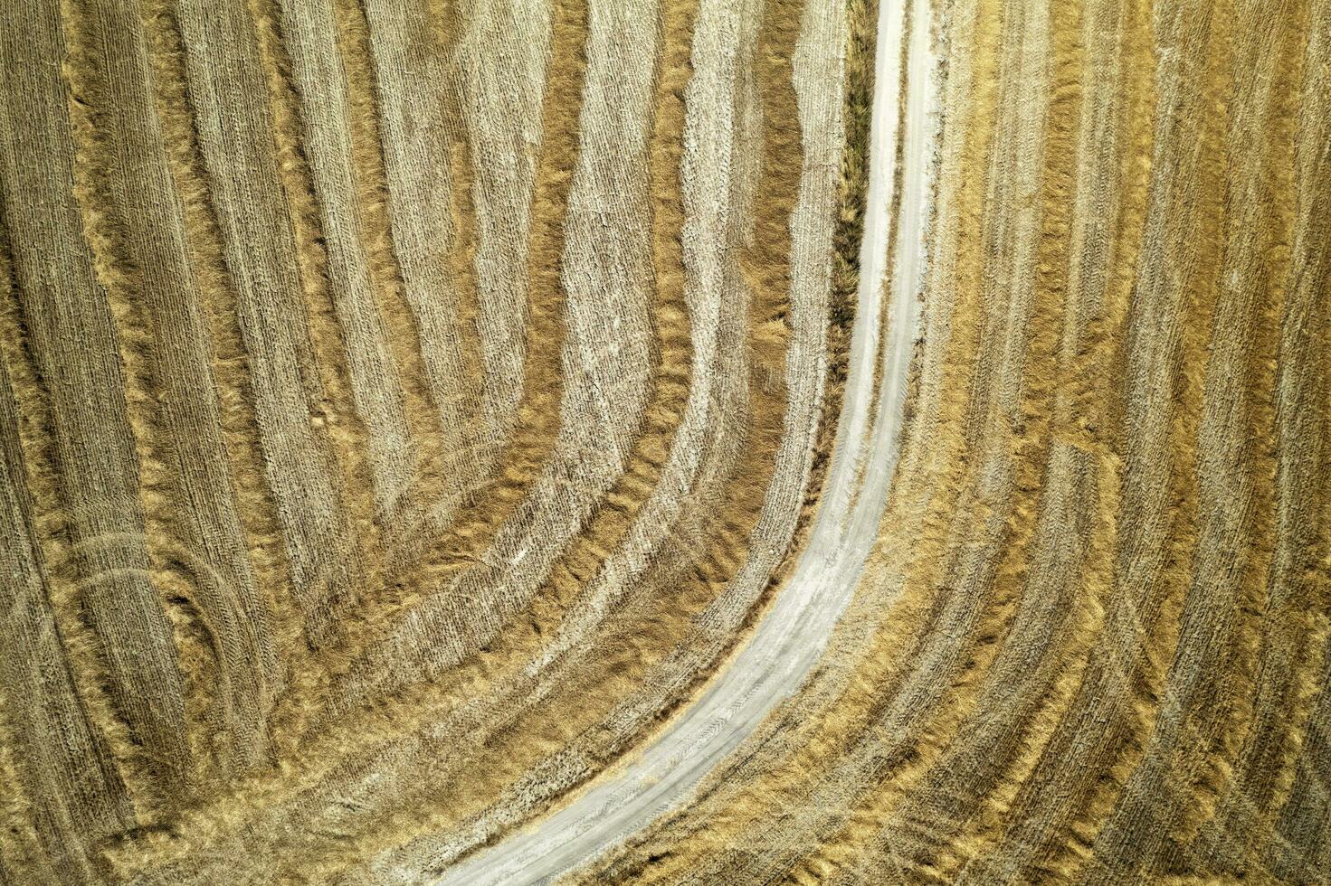 Aerial shot of a straw field left to dry photo