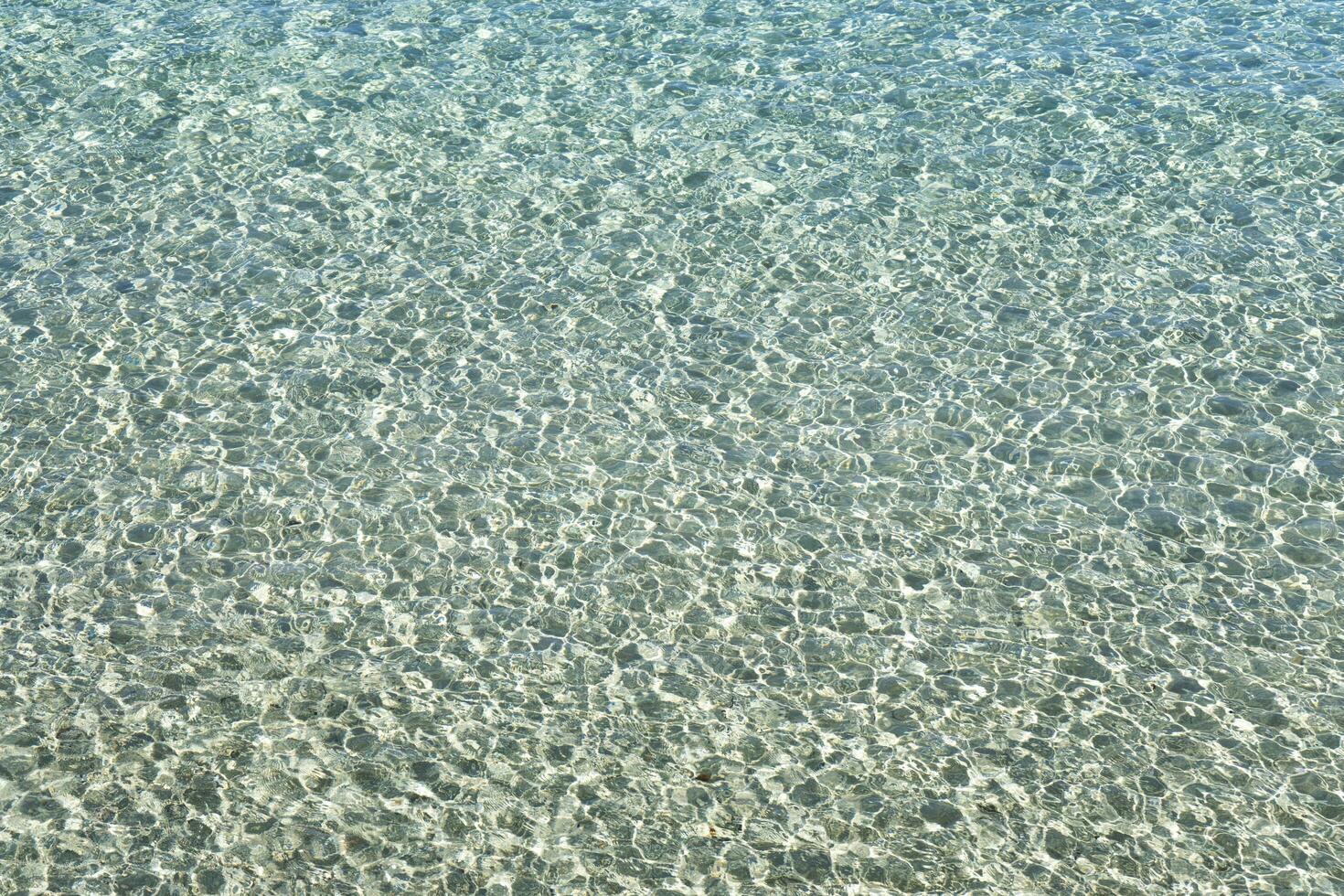 The colors and the shape of the sea waves photo