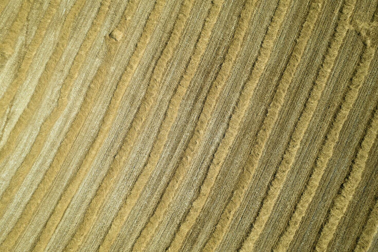 Aerial shot of a straw field left to dry photo