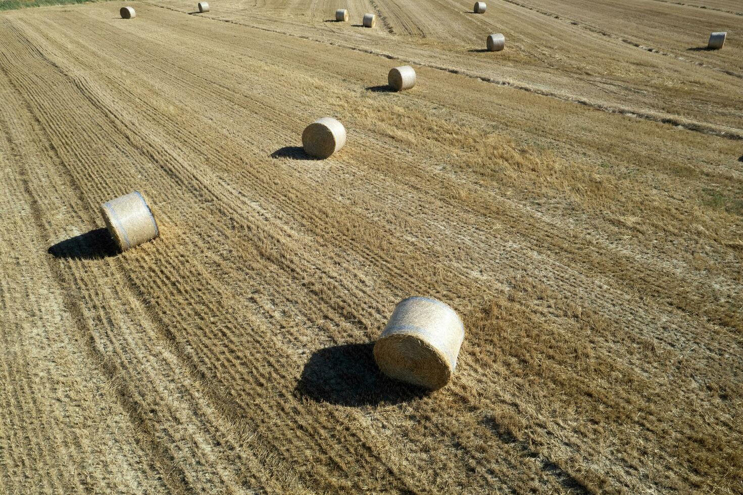 aéreo ver de un redondo bala campo en pleno verano foto