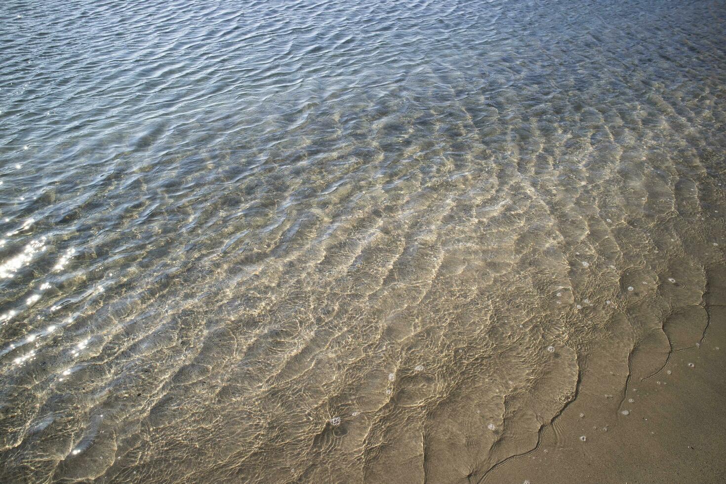 The shape and the transparency of the sea waves photo