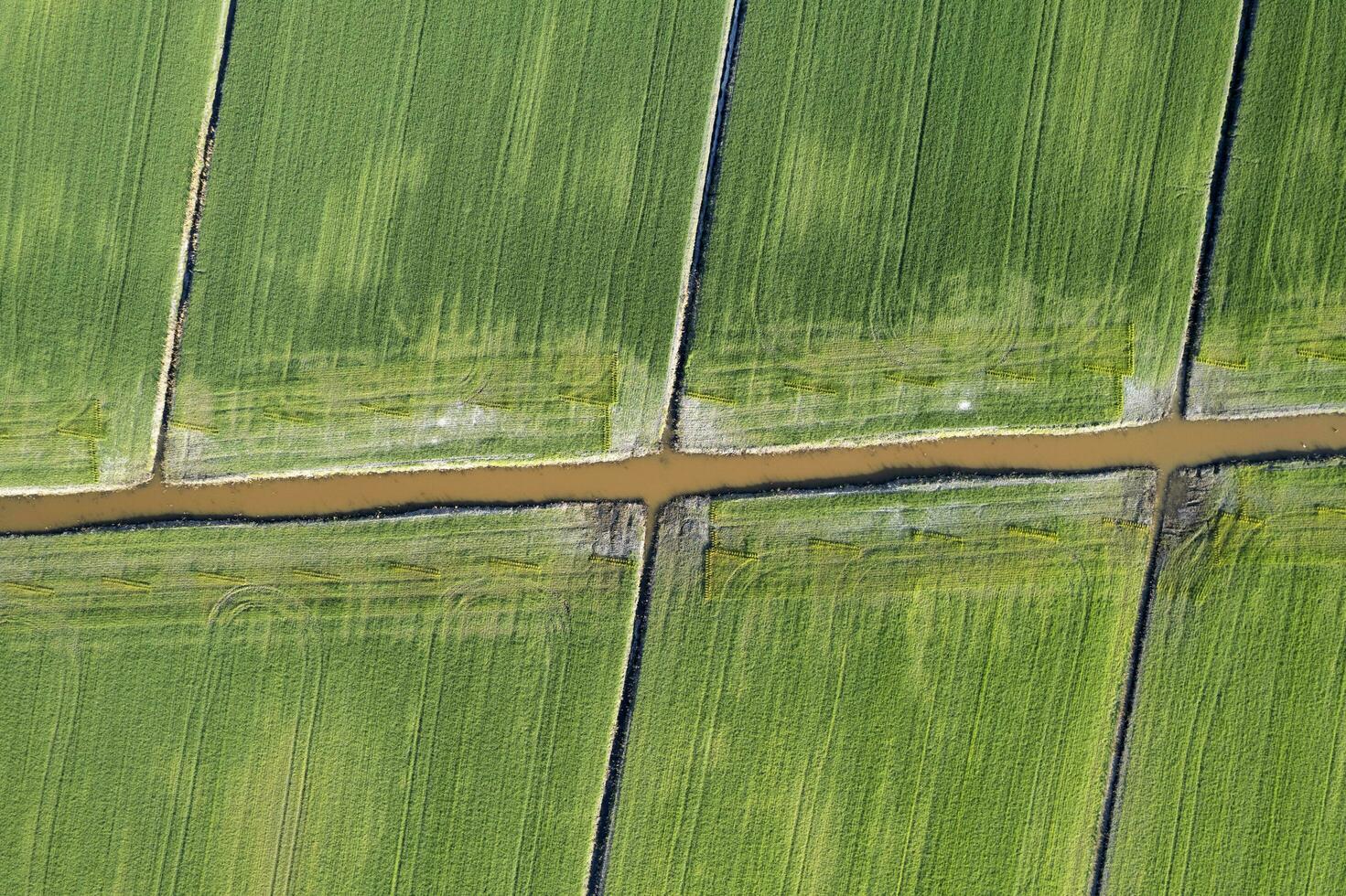 Aerial shot of the giometric shapes of the fields photo