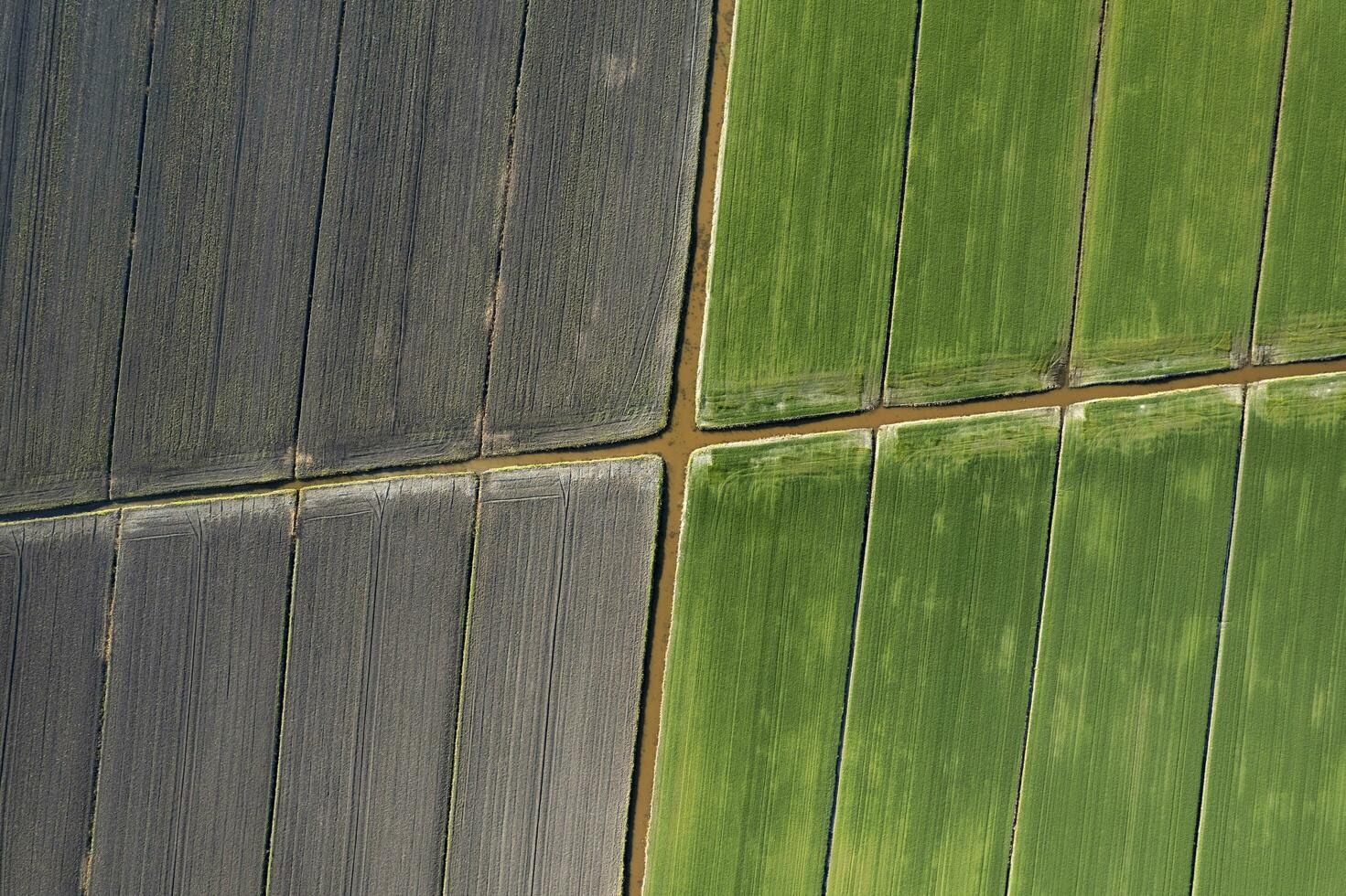 aéreo Disparo de el giométrico formas de el campos foto