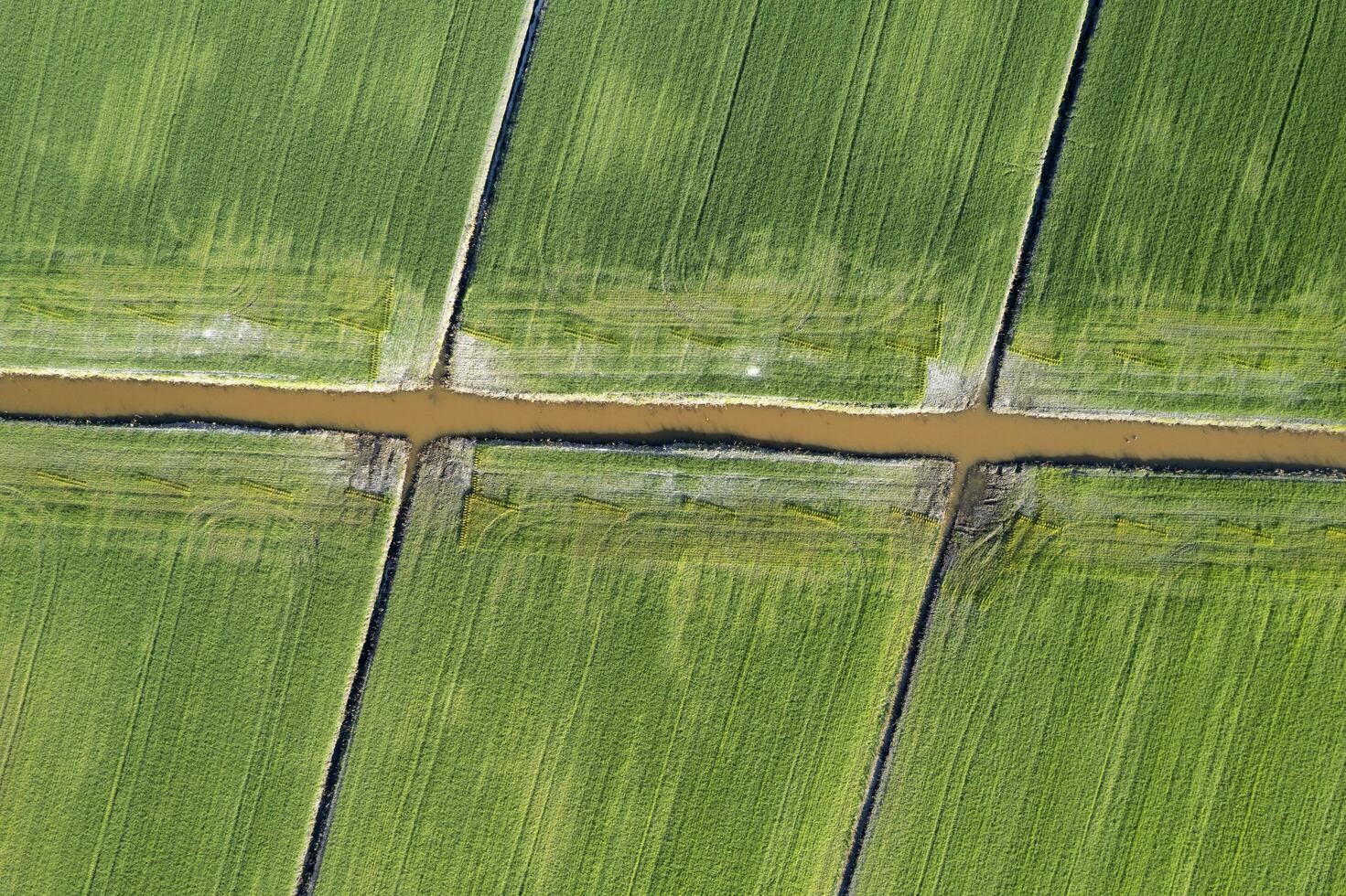 Aerial shot of the giometric shapes of the fields photo