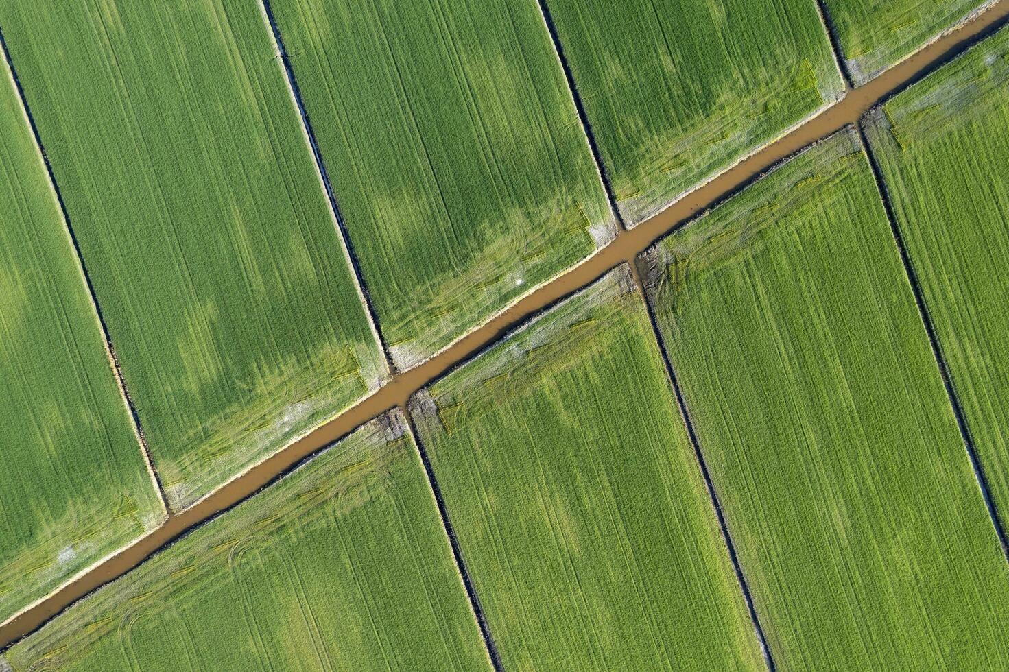 Aerial shot of the giometric shapes of the fields photo