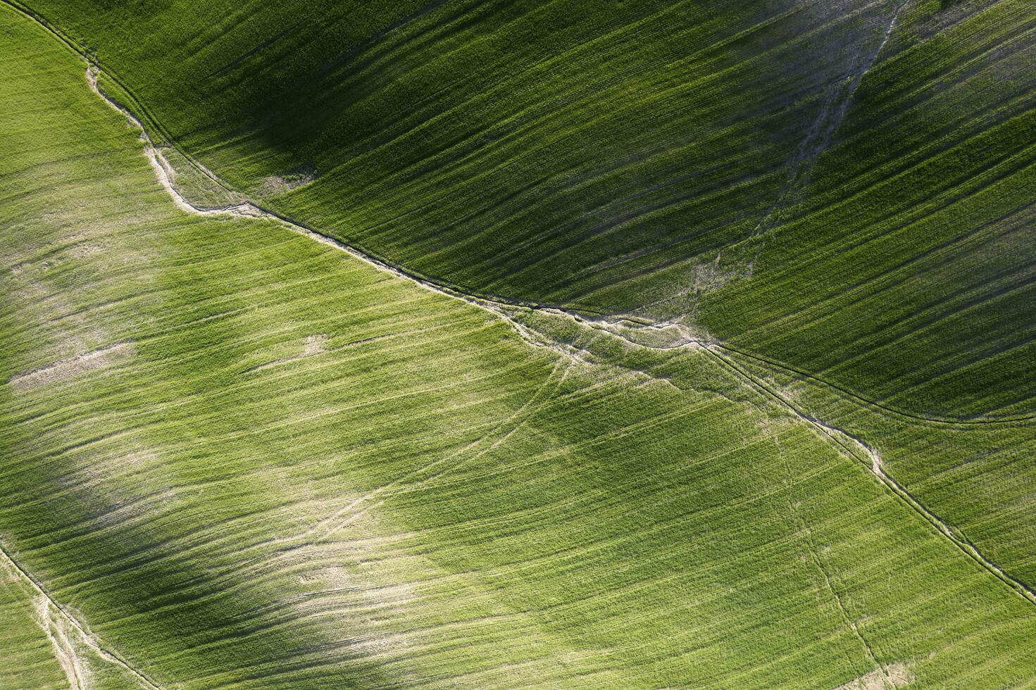 Aerial shot of the shapes of the cultivated fields photo