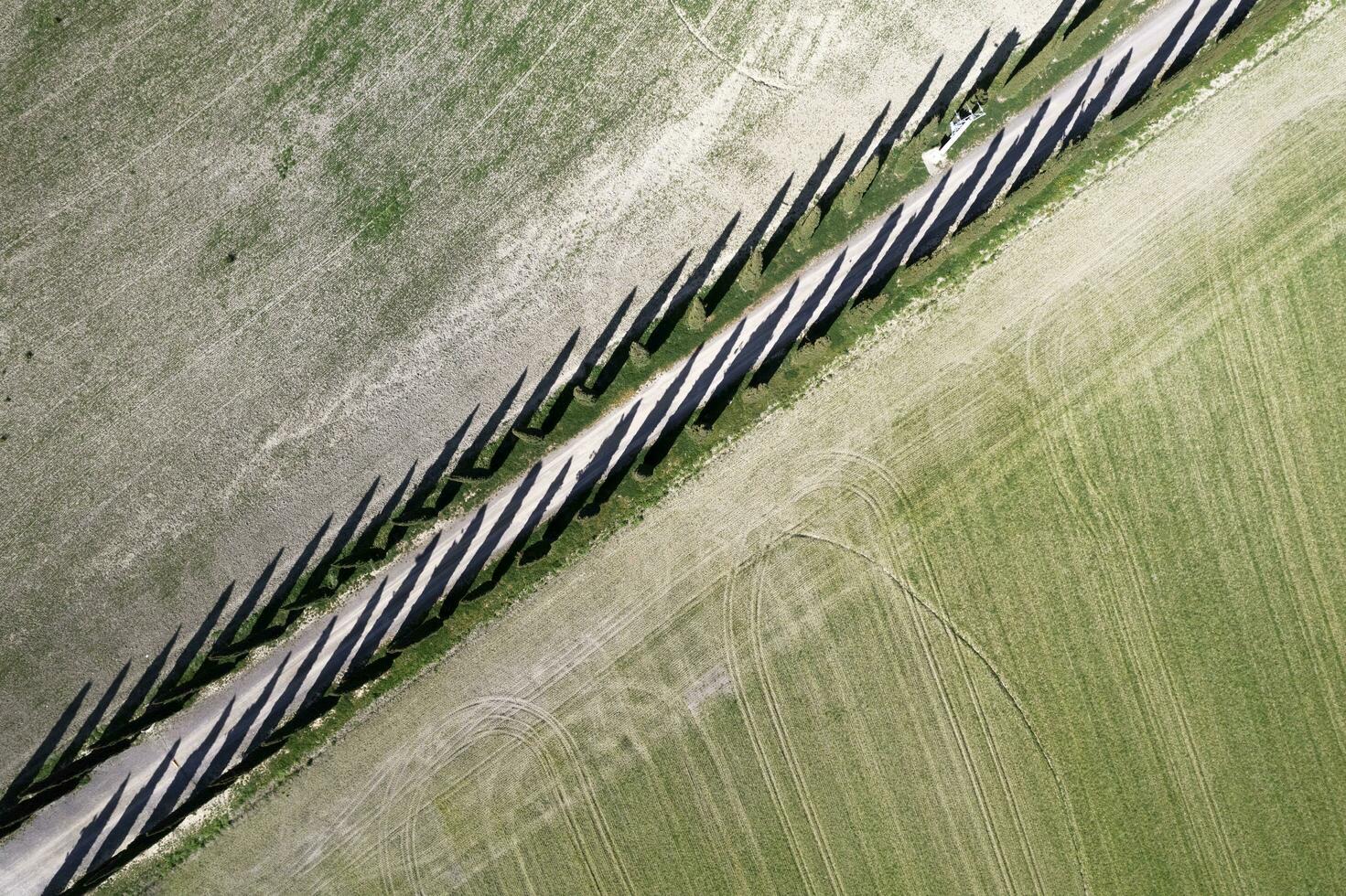 Aerial photographic documentation of a cypress road photo