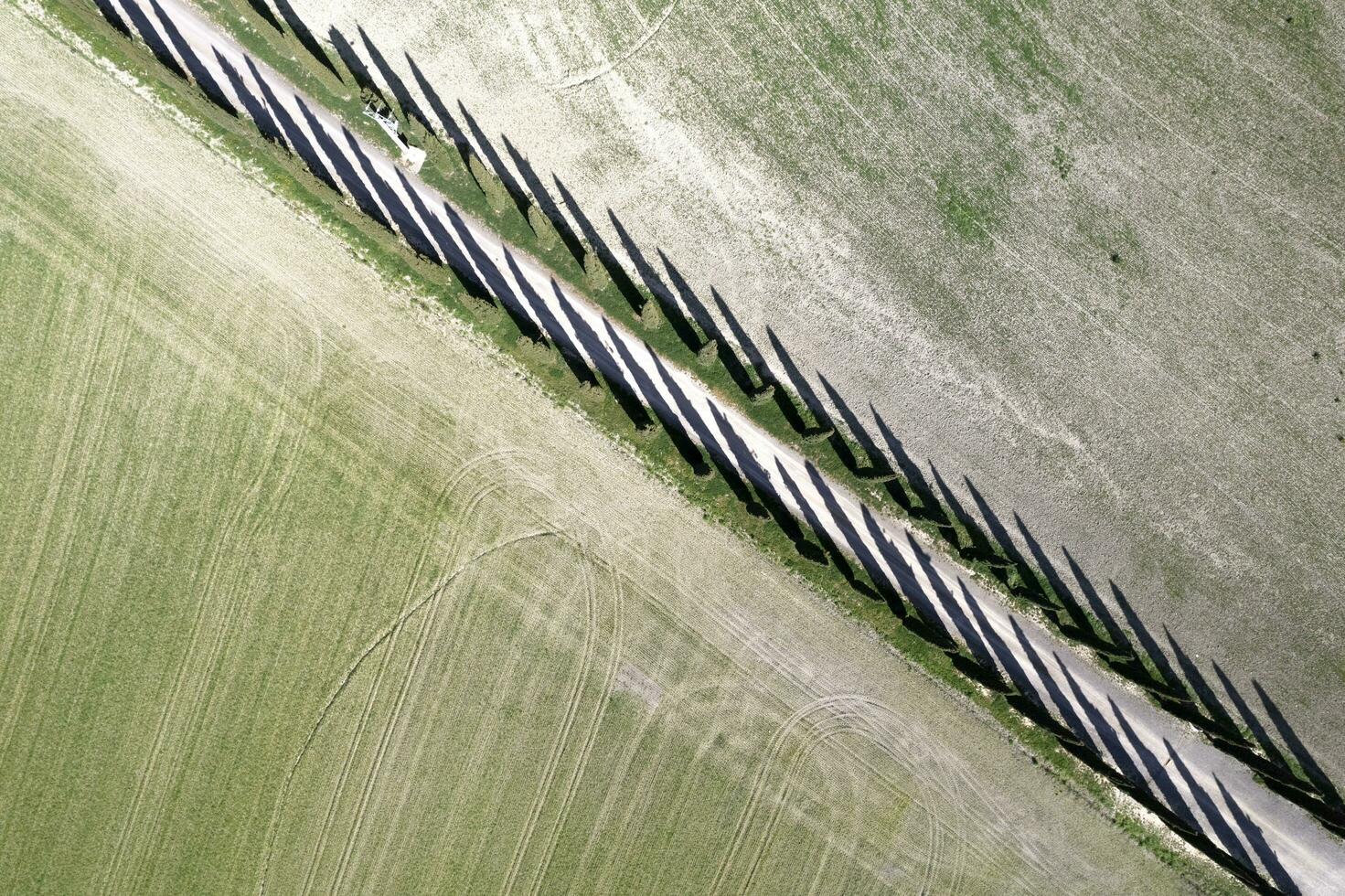 Aerial photographic documentation of a cypress road photo