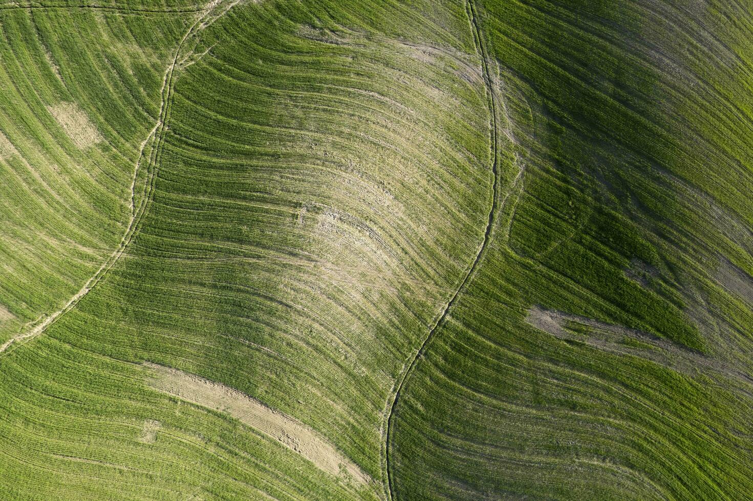 Aerial shot of the shapes of the cultivated fields photo