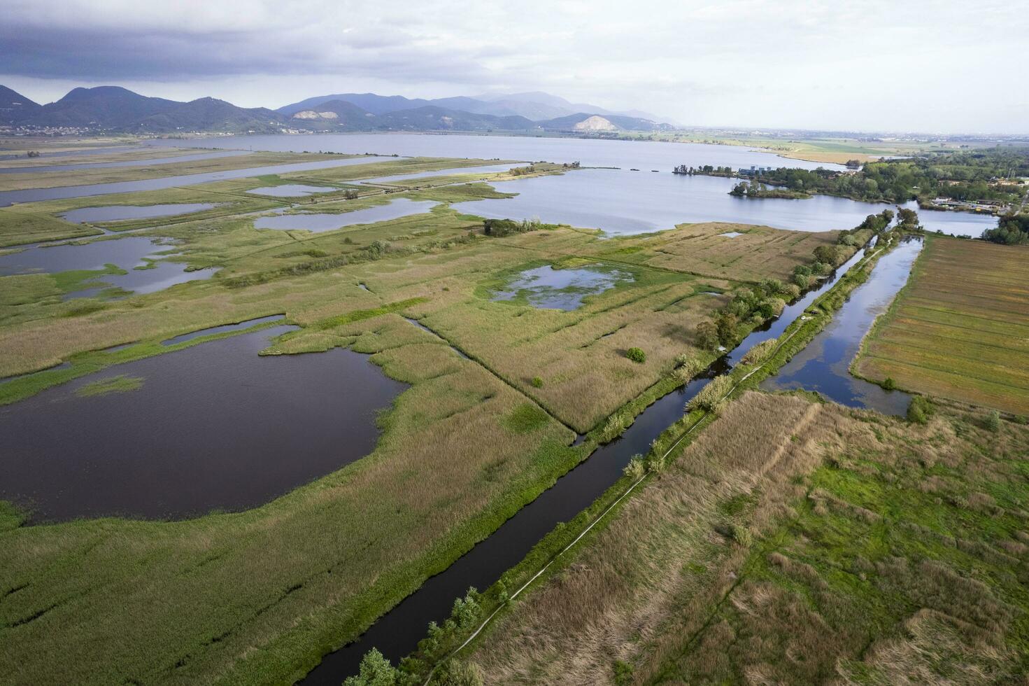 Aerial view of the marshy area of Lake Massaciuccoli photo