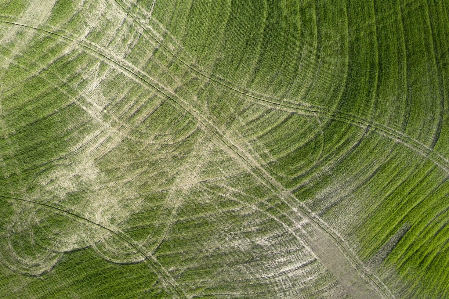 Drawings left behind after working the land in Tuscany Italy photo