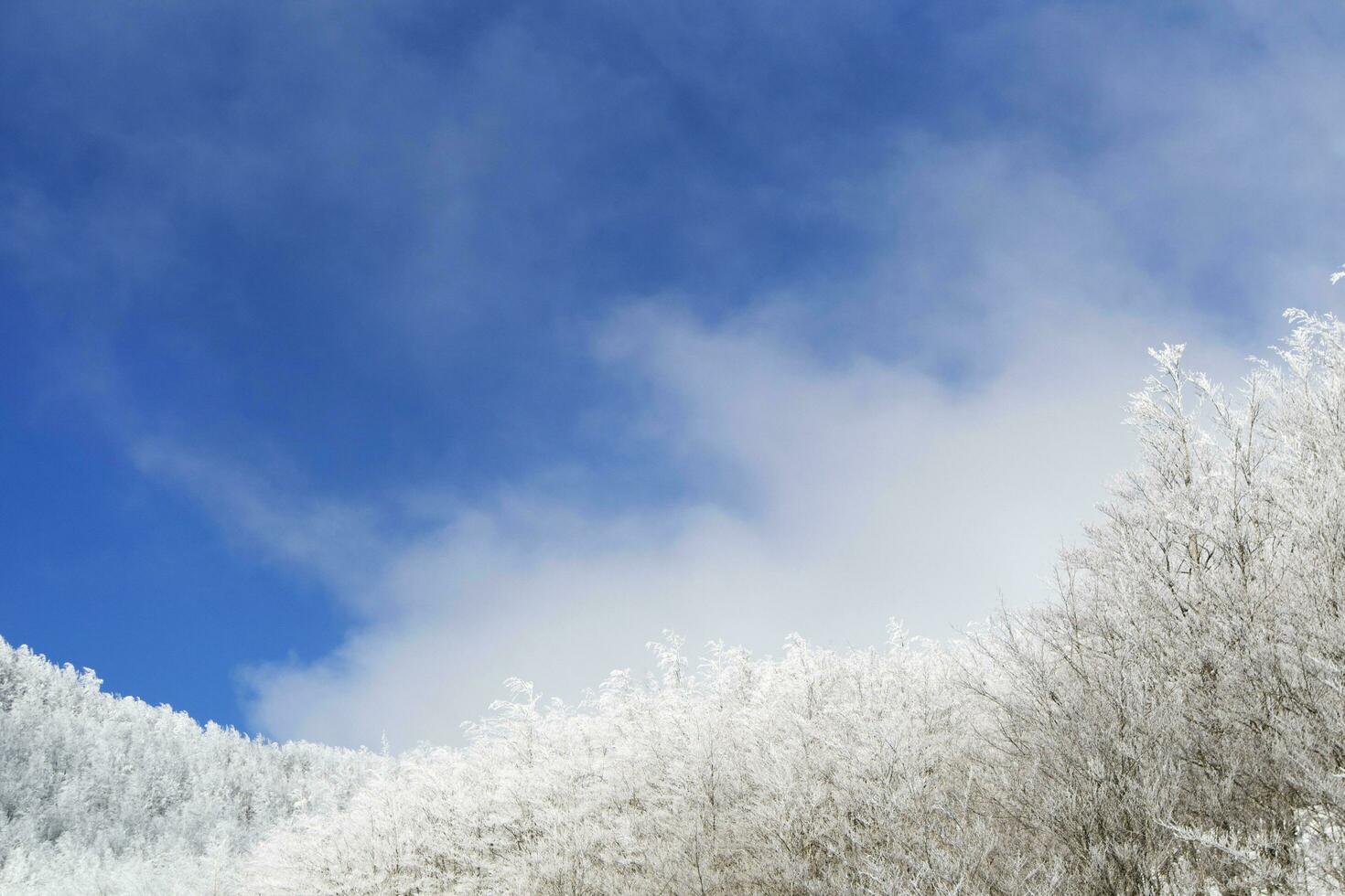 Tuscan Apennines covered with snow covered photo