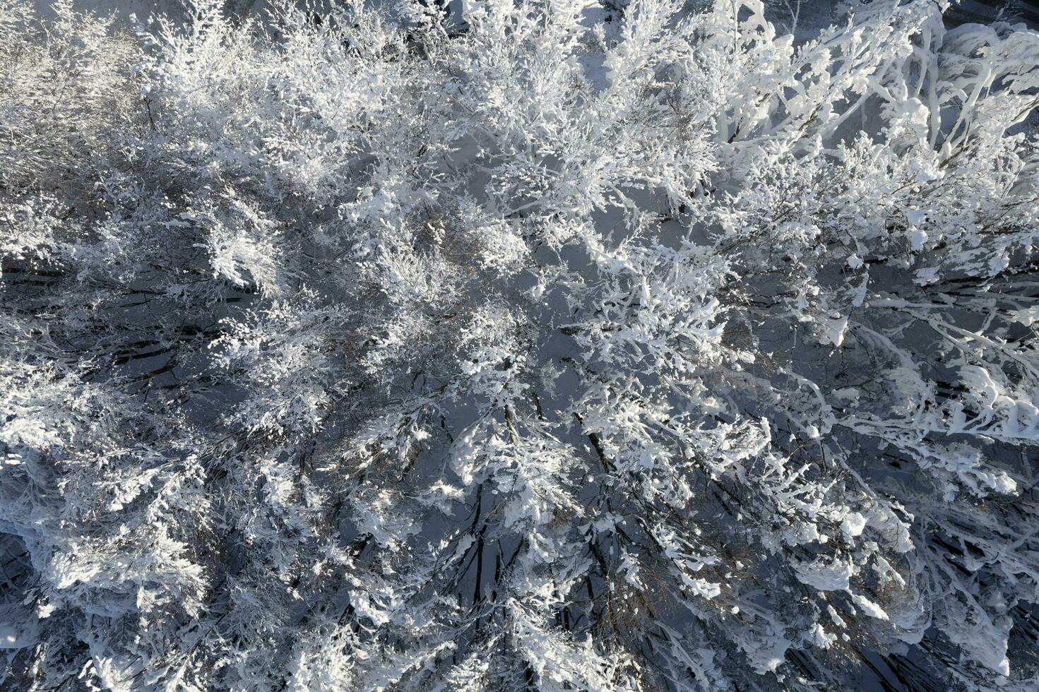 Completely snow-covered forest taken from above photo