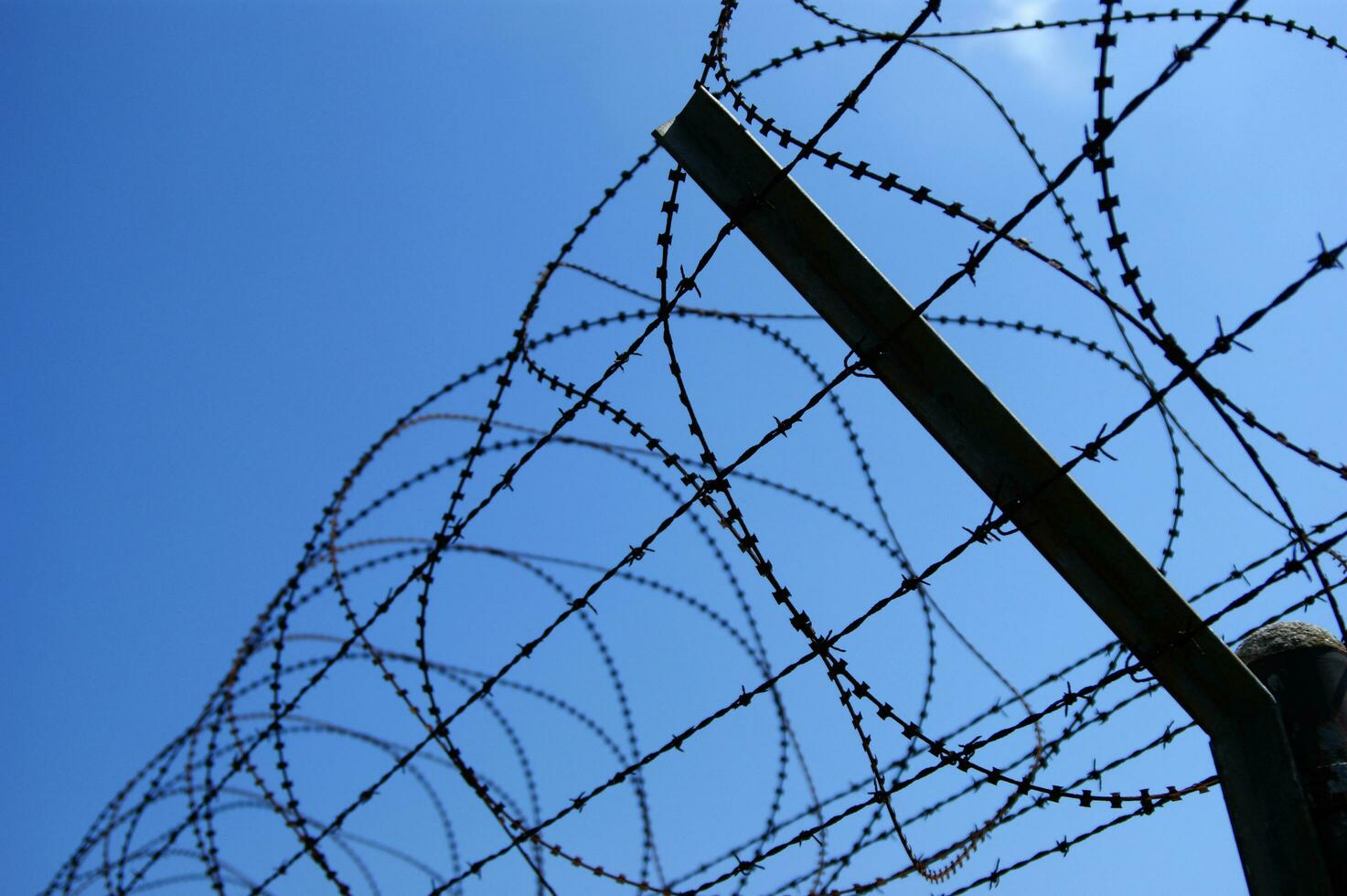 a barbed wire fence with a blue sky in the background photo