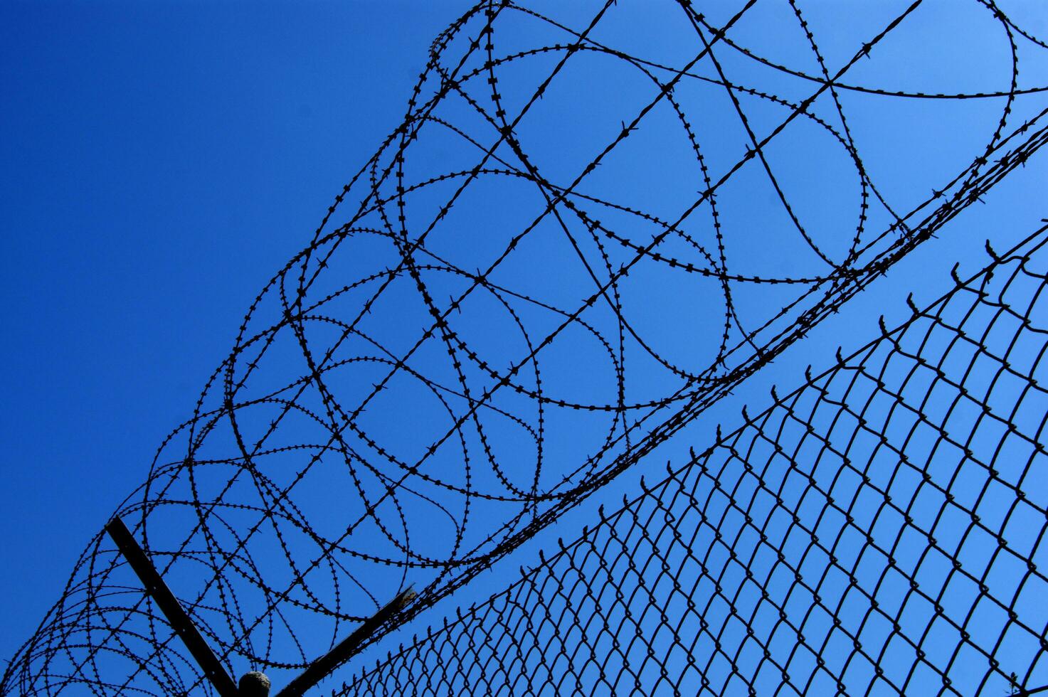 a barbed wire fence with a blue sky in the background photo