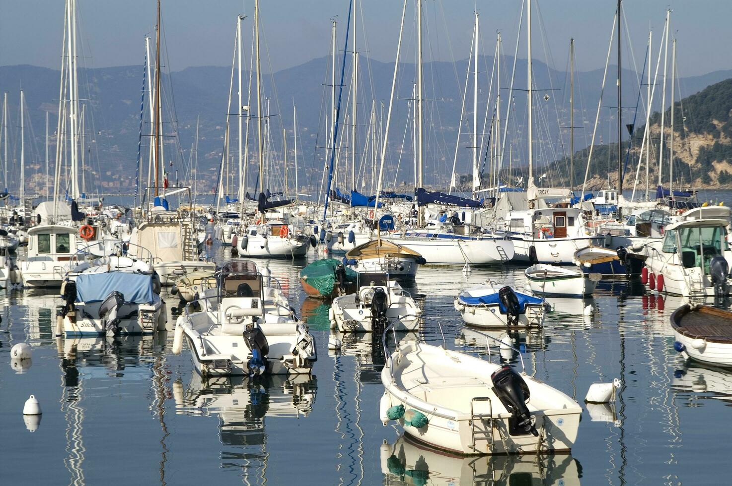 the boats are all white photo