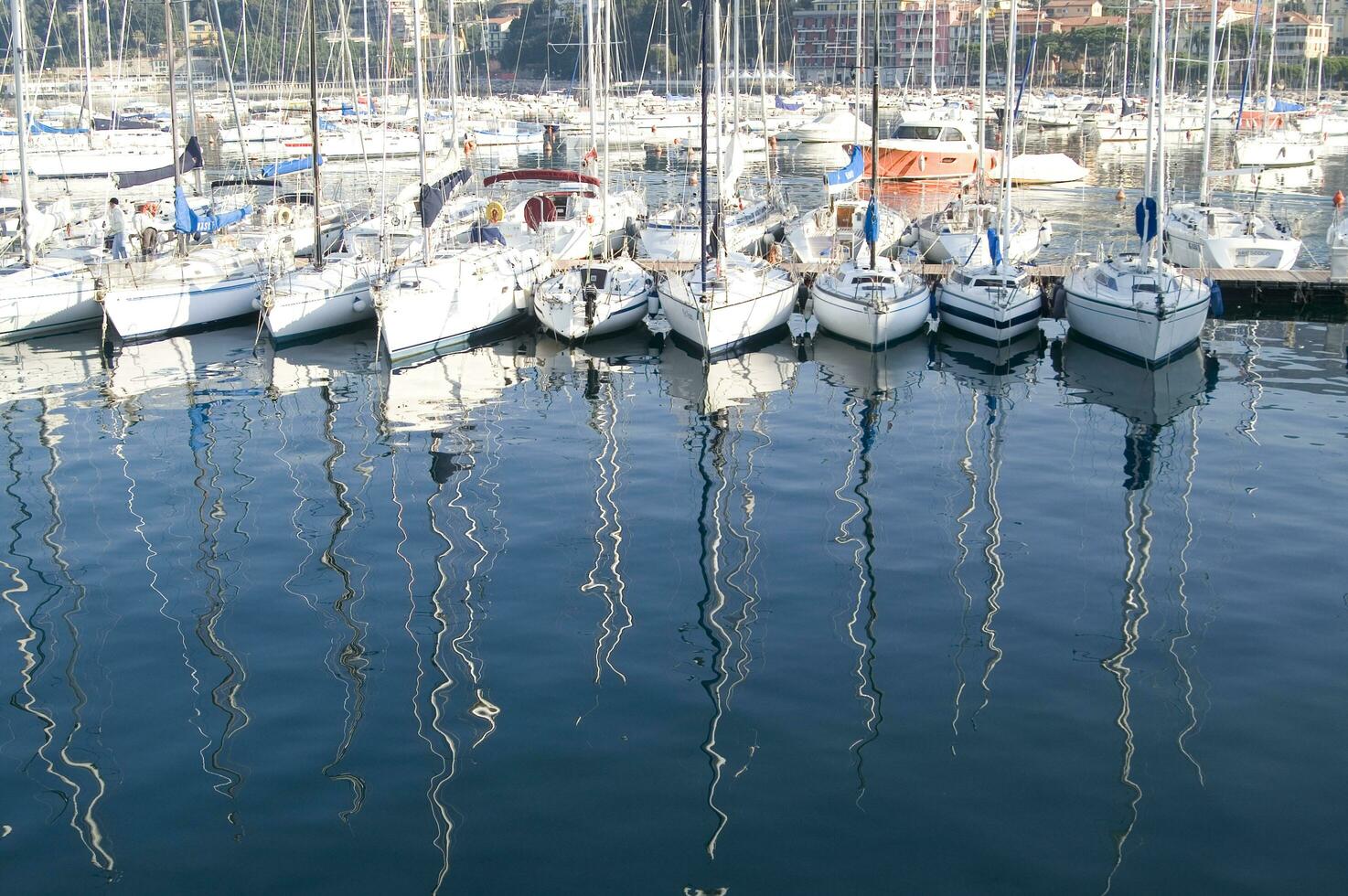 the boats are all white photo