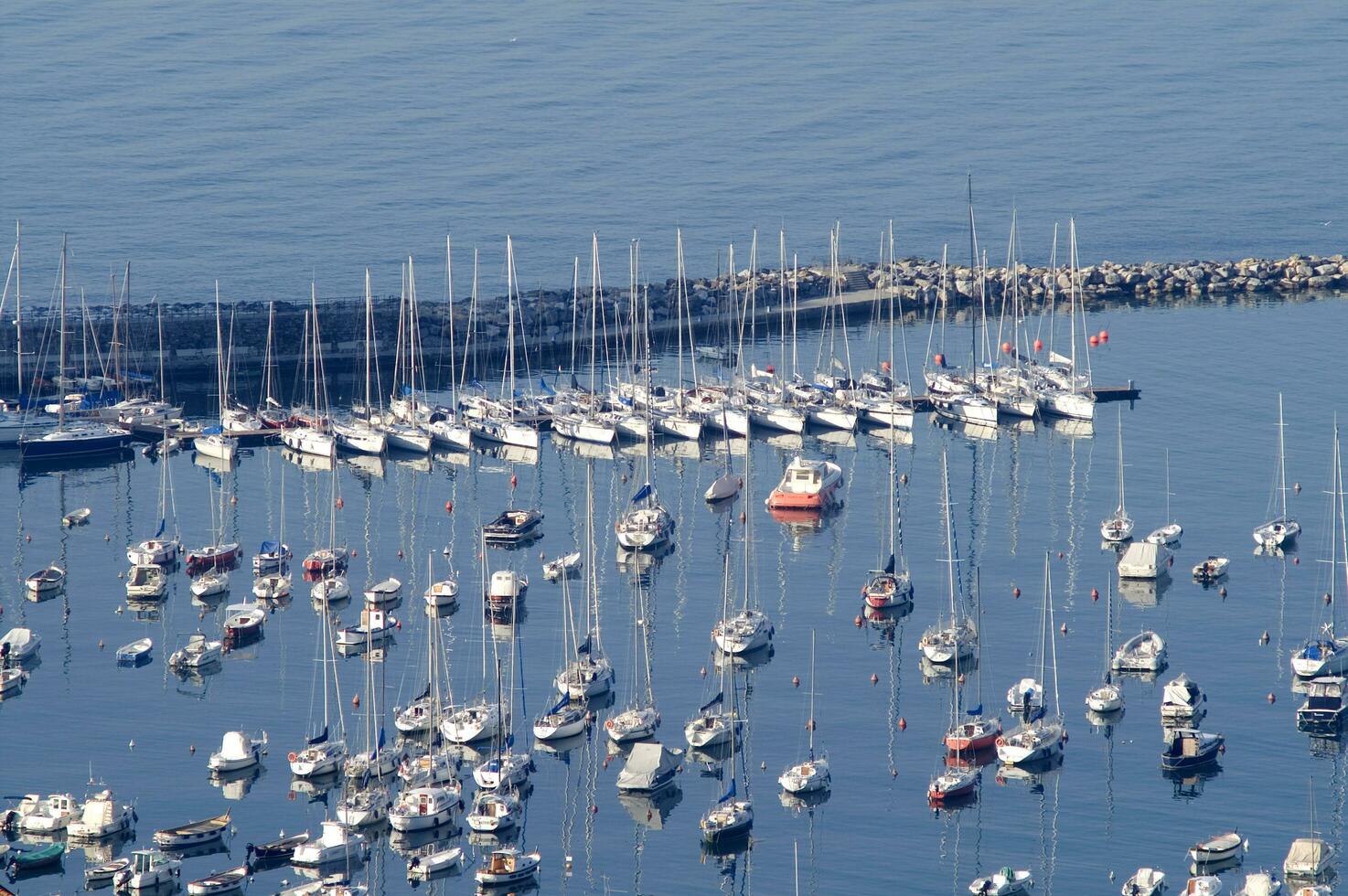 the boats are all white photo