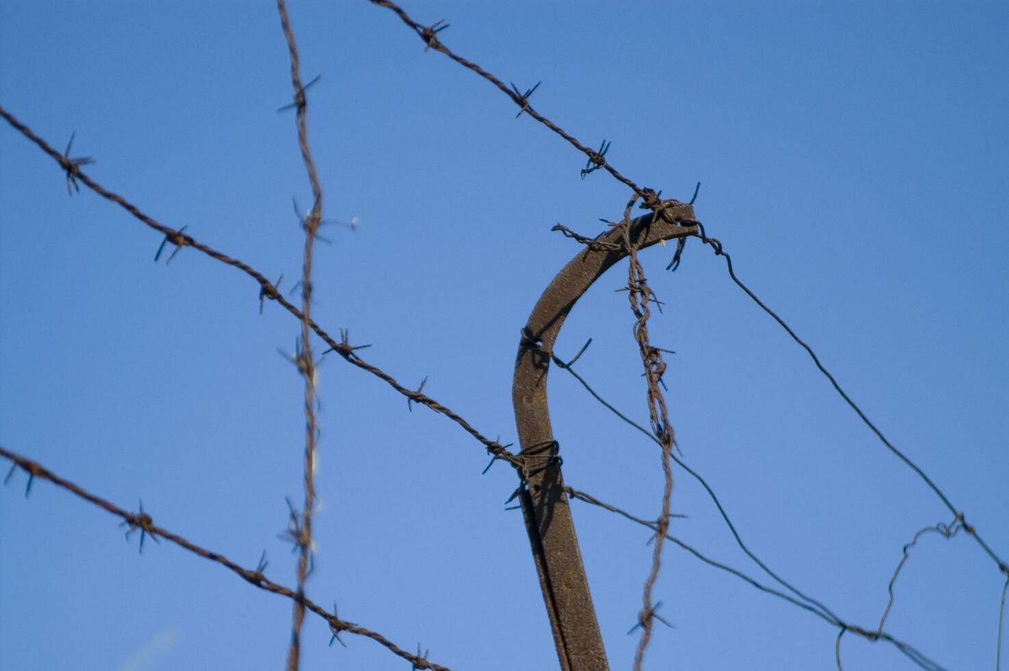 a barbed wire fence with a blue sky in the background photo