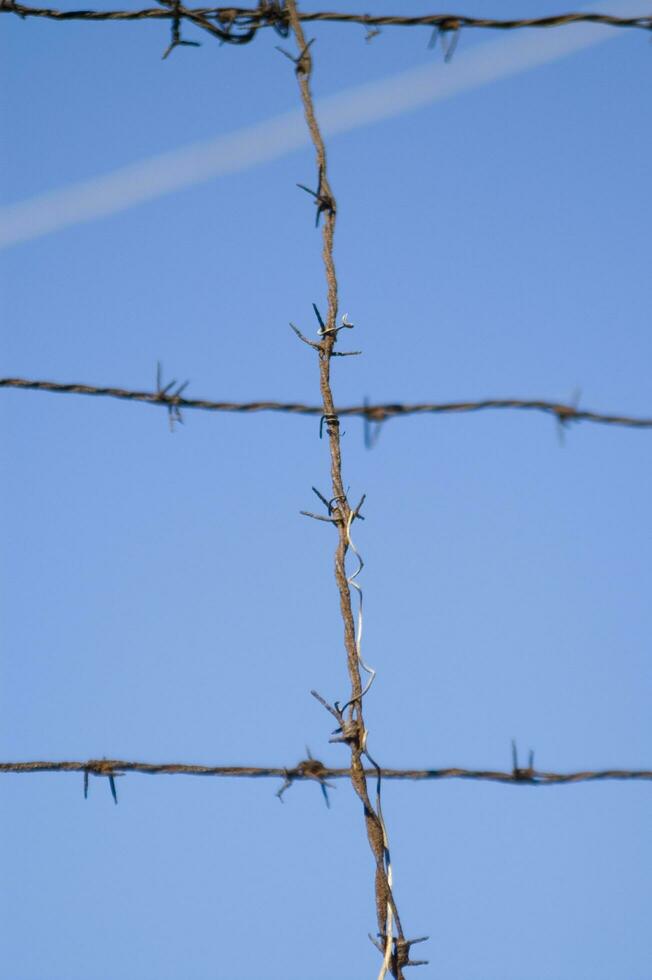 a barbed wire fence with a blue sky in the background photo