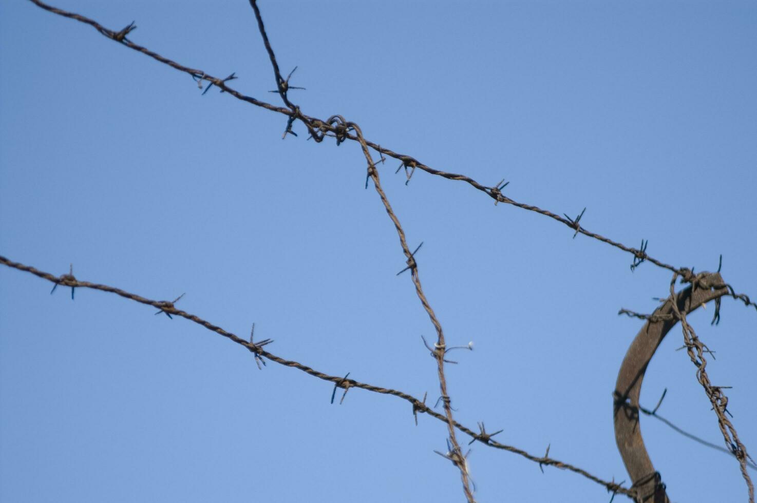 a barbed wire fence with a blue sky in the background photo