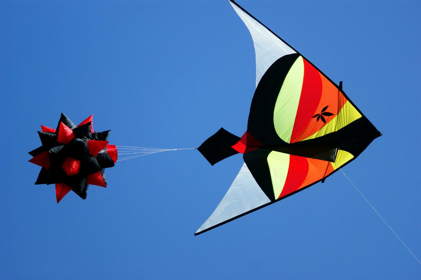 Set of flying colorful kites photo