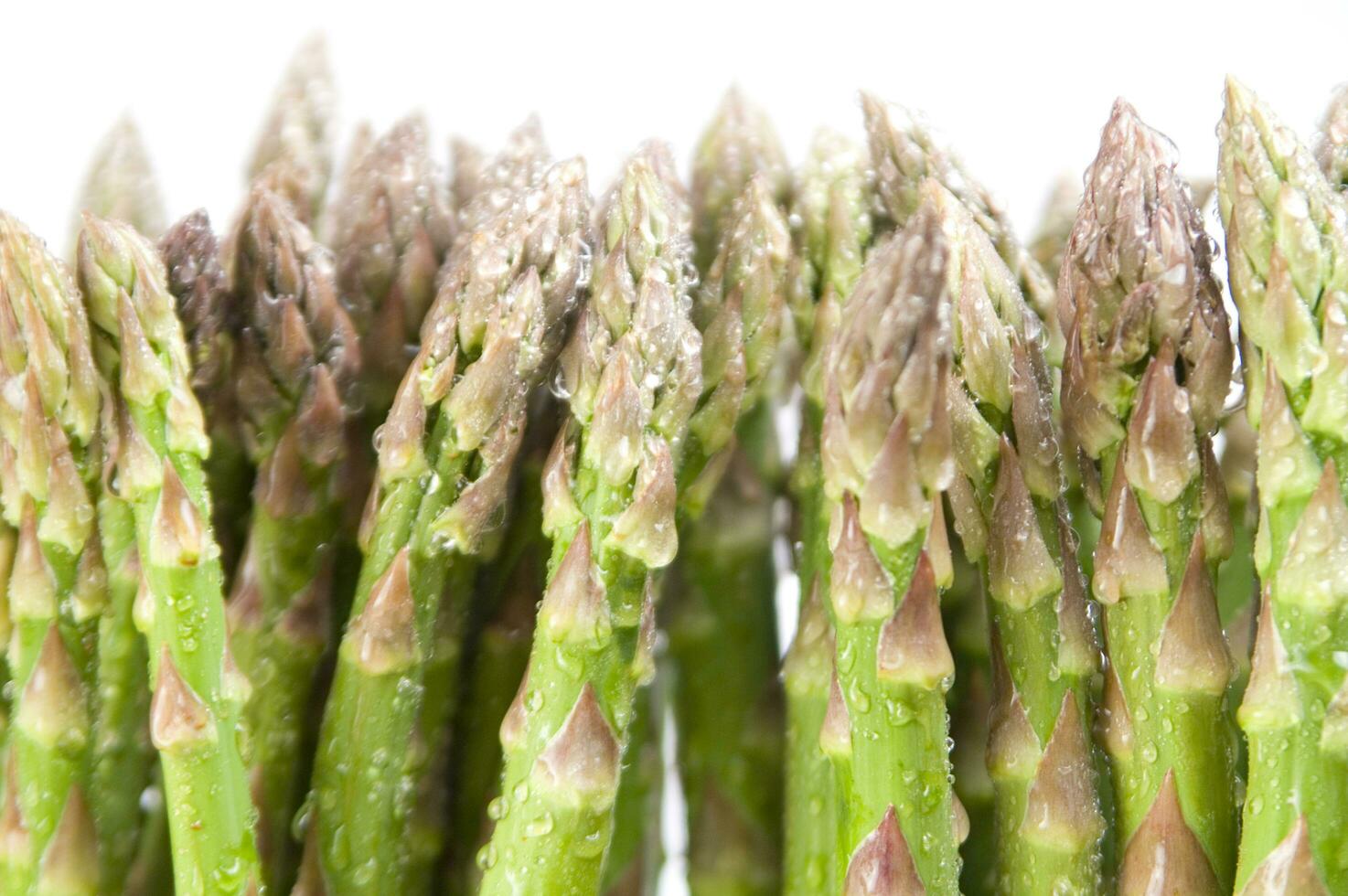 asparagus is a vegetable that is very popular photo