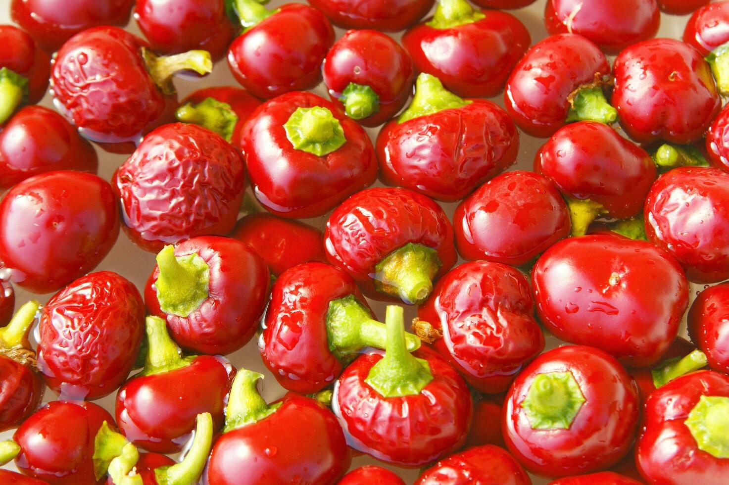 a bunch of red peppers sitting on a cloth photo