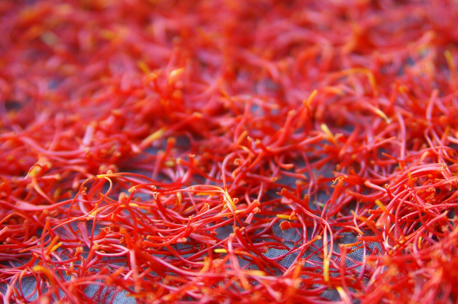 a pile of red saffron on a plate photo