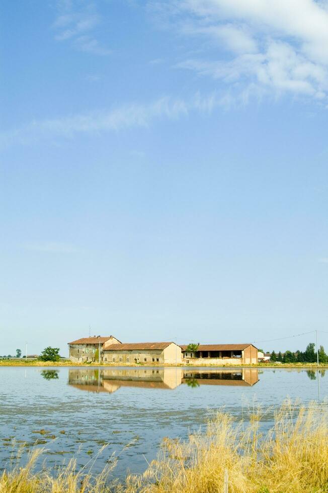 ancient farms in the rice fields in Vercelli Italy photo