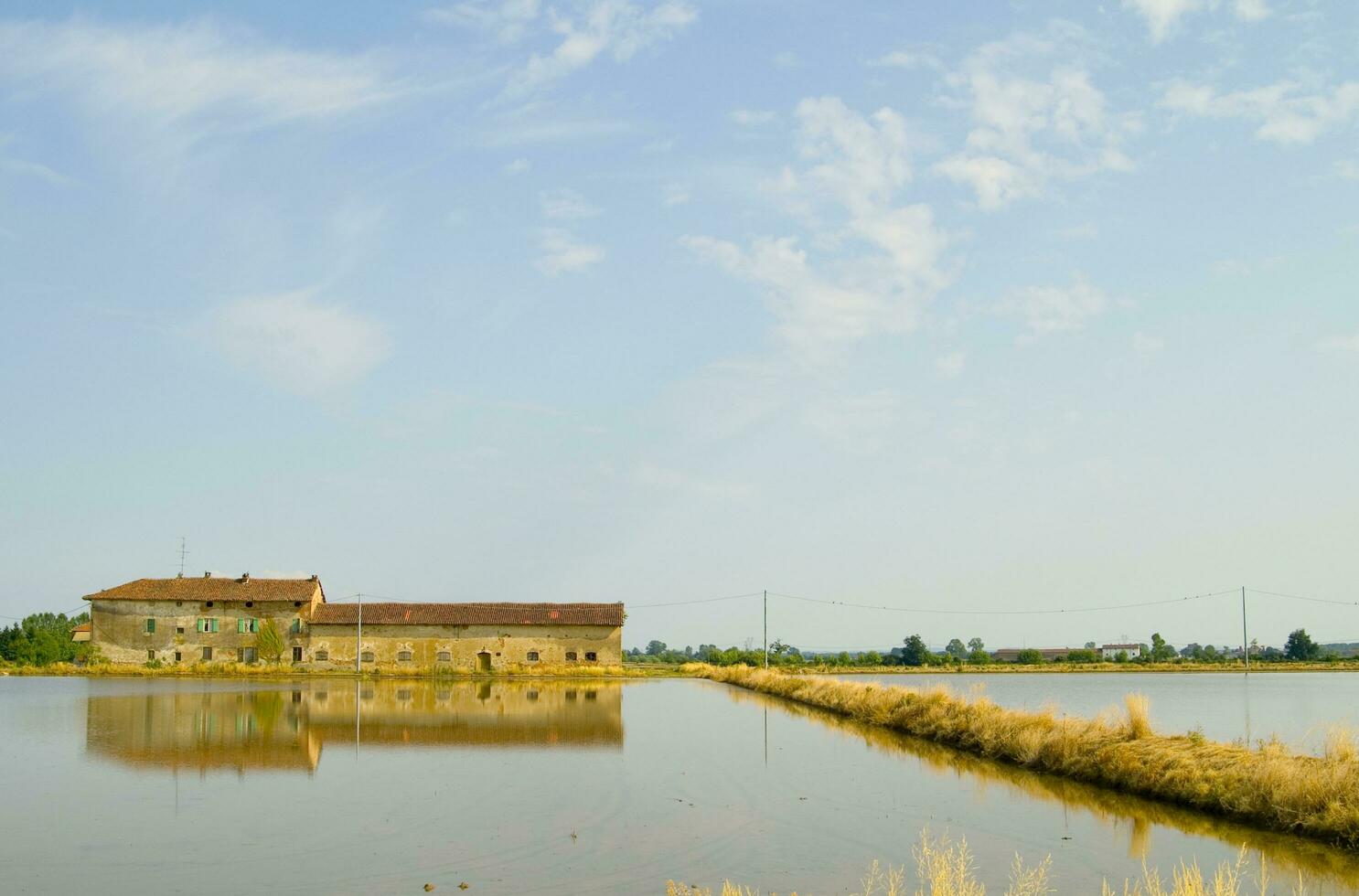 ancient farms in the rice fields in Vercelli Italy photo