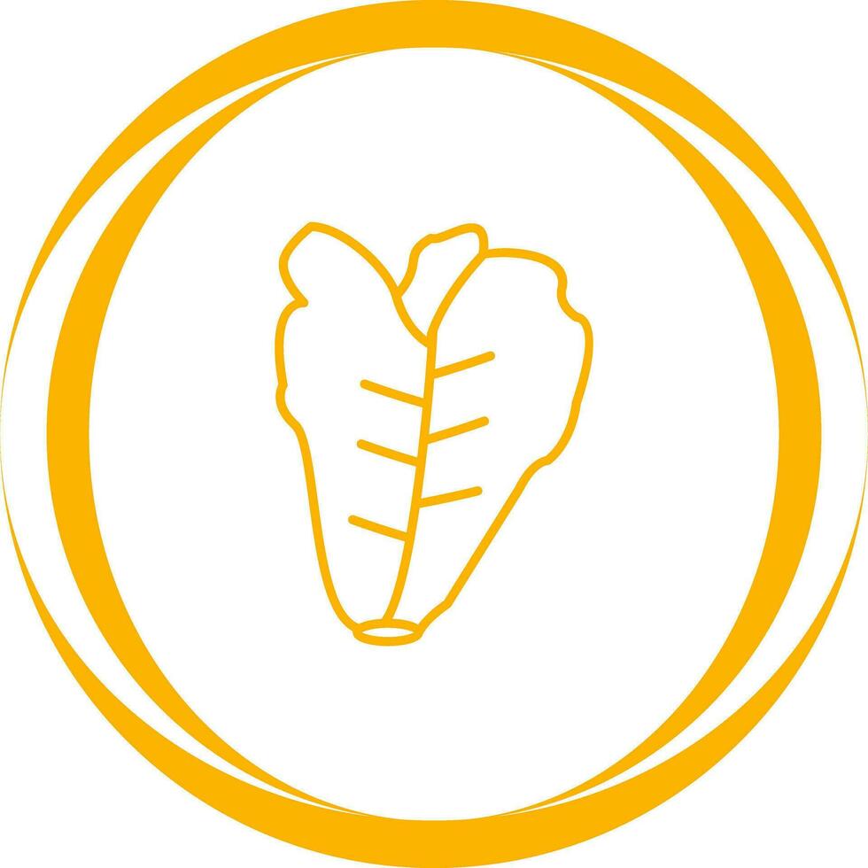 Lettuce Vector Icon
