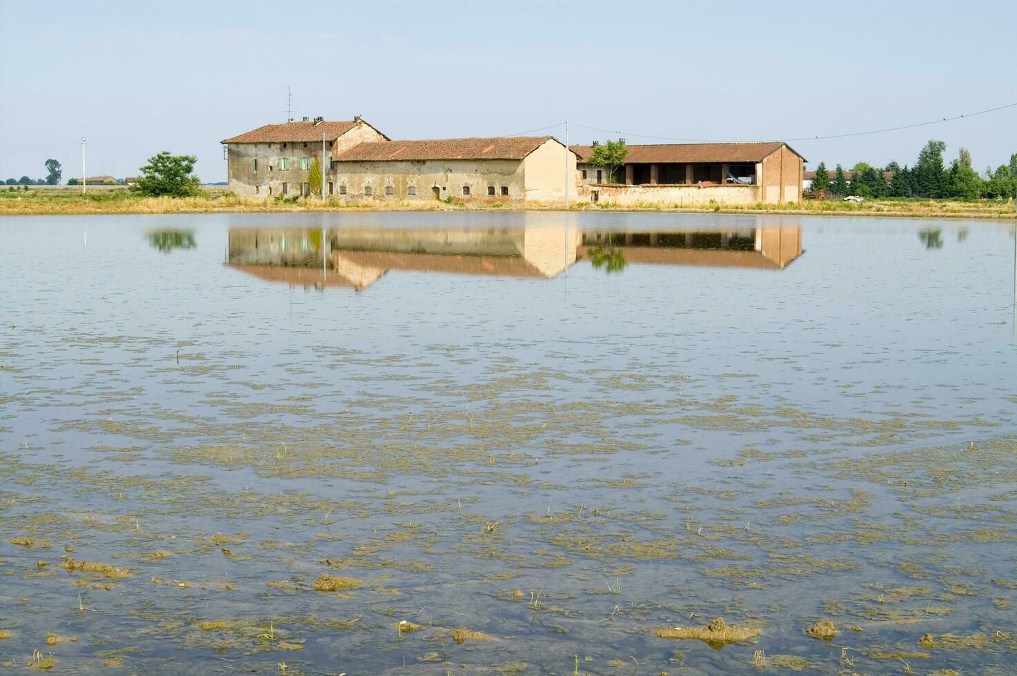 antiguo granjas en el arroz campos en vercelli Italia foto