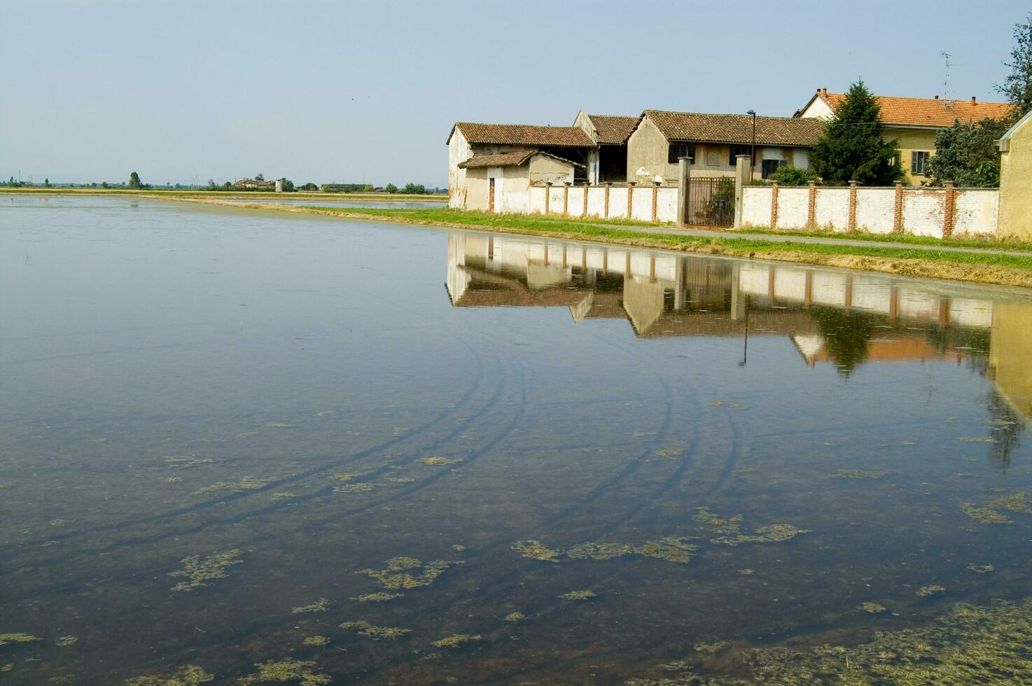 antiguo granjas en el arroz campos en vercelli Italia foto