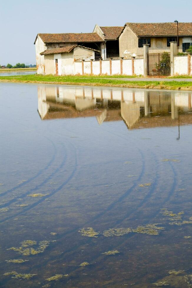 antiguo granjas en el arroz campos en vercelli Italia foto