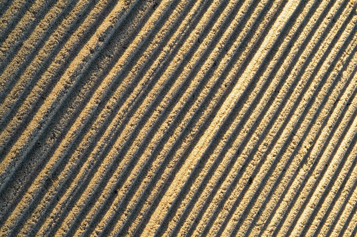 a close up of a field with lines of yellow photo