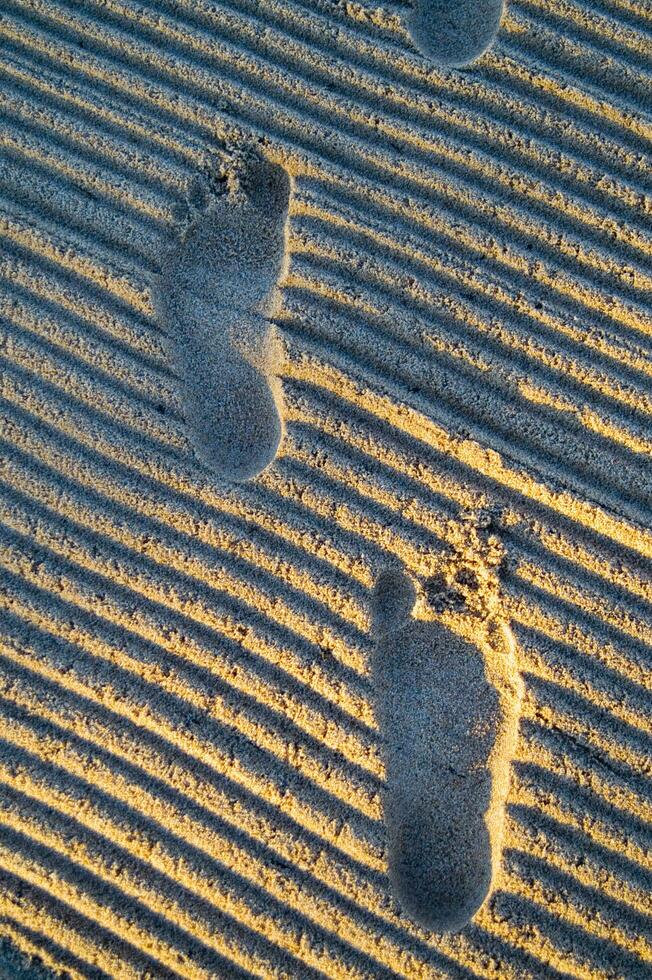 footprints in the sand photo