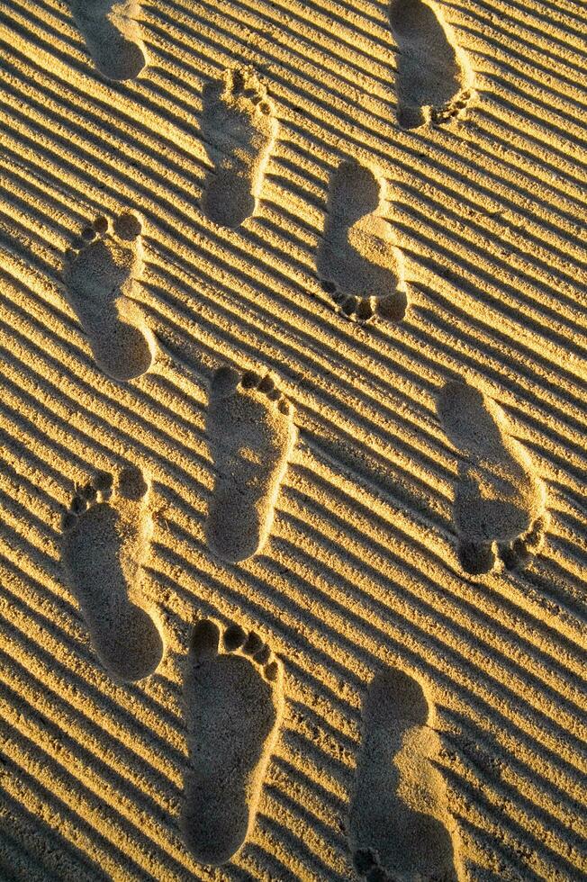 footprints in the sand photo