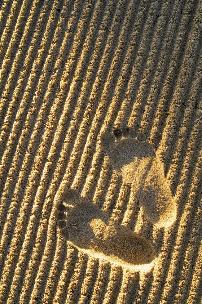 footprints in the sand photo